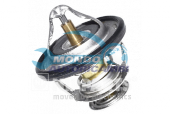 TERMOSTATO, TERMOINTERRUTTORE