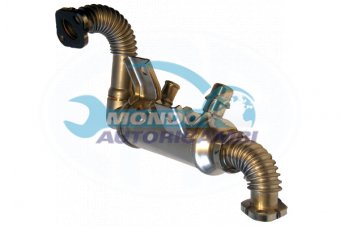 VALVOLA EGR, DSIPOSITIVO CONTROLLO EMISSIONE SCARICO, GRUPPO EGR, VALVOLA RICIRCOLAZIONE GAS, VALVOLA RICIRCOLO GAS SCARICO