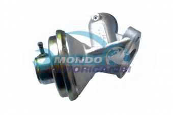 VALVOLA EGR, DSIPOSITIVO CONTROLLO EMISSIONE SCARICO, GRUPPO EGR, VALVOLA RICIRCOLAZIONE GAS, VALVOLA RICIRCOLO GAS SCARICO