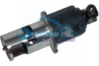 VALVOLA EGR, DSIPOSITIVO CONTROLLO EMISSIONE SCARICO, GRUPPO EGR, VALVOLA RICIRCOLAZIONE GAS, VALVOLA RICIRCOLO GAS SCARICO