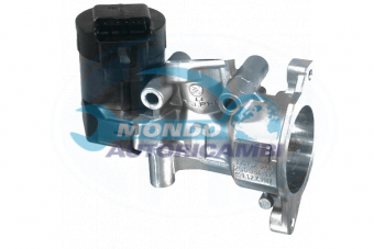 VALVOLA EGR, DSIPOSITIVO CONTROLLO EMISSIONE SCARICO, GRUPPO EGR, VALVOLA RICIRCOLAZIONE GAS, VALVOLA RICIRCOLO GAS SCARICO