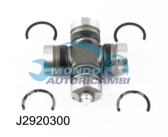 GIUNTO ALBERO LONGITUDINALE